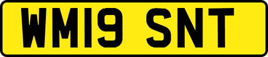 WM19SNT