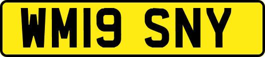 WM19SNY