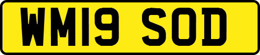 WM19SOD