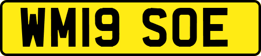 WM19SOE