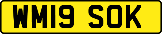 WM19SOK