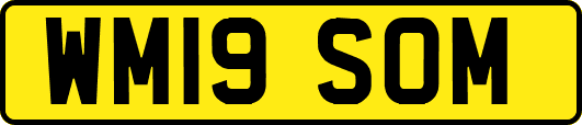 WM19SOM