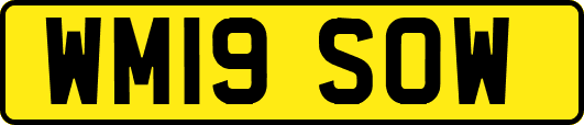 WM19SOW