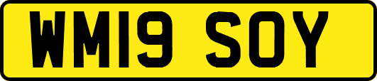 WM19SOY