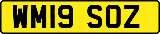 WM19SOZ