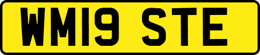 WM19STE