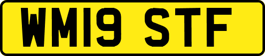 WM19STF