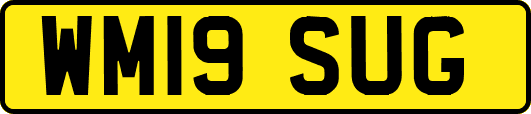 WM19SUG