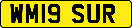 WM19SUR