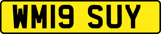 WM19SUY