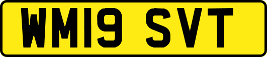 WM19SVT