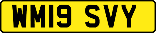 WM19SVY