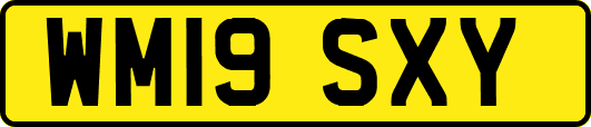 WM19SXY