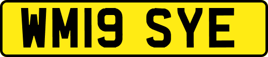WM19SYE
