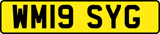 WM19SYG