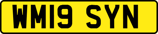 WM19SYN