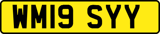 WM19SYY
