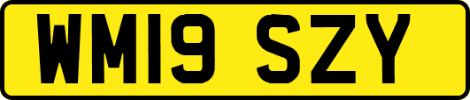 WM19SZY