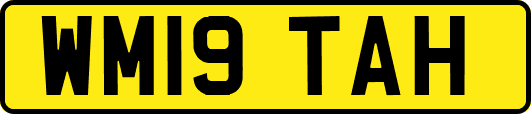 WM19TAH