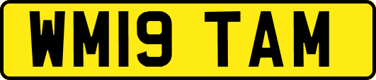 WM19TAM