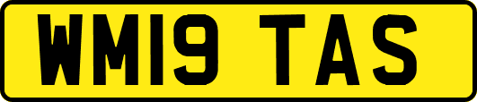 WM19TAS