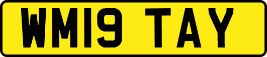 WM19TAY