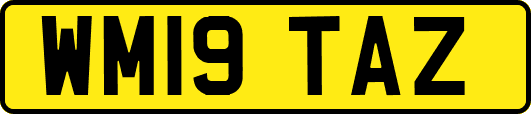 WM19TAZ