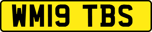 WM19TBS