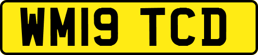 WM19TCD