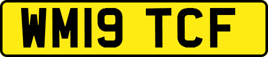 WM19TCF