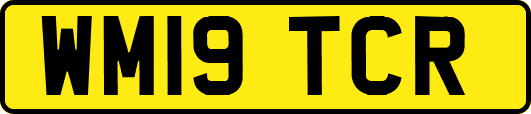 WM19TCR