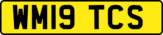 WM19TCS