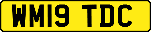 WM19TDC
