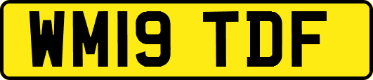 WM19TDF