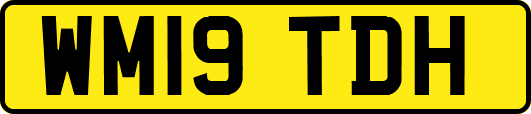 WM19TDH
