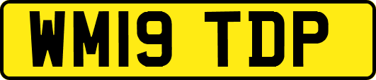 WM19TDP