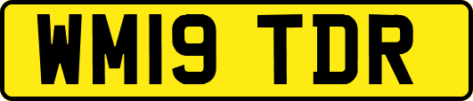 WM19TDR