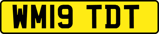WM19TDT