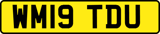 WM19TDU