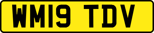 WM19TDV