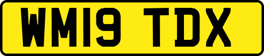 WM19TDX