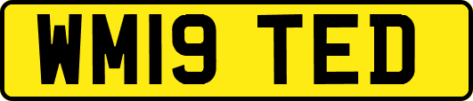 WM19TED