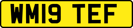 WM19TEF