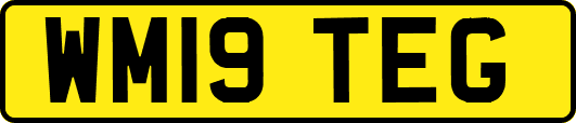 WM19TEG