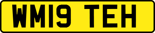 WM19TEH