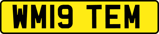 WM19TEM