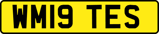 WM19TES