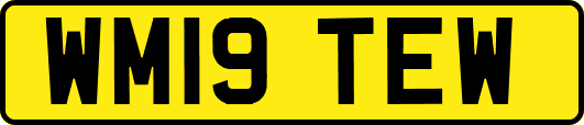 WM19TEW