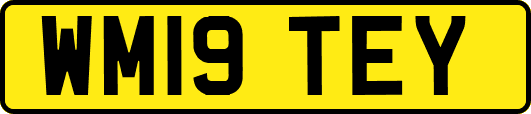 WM19TEY