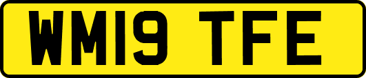 WM19TFE